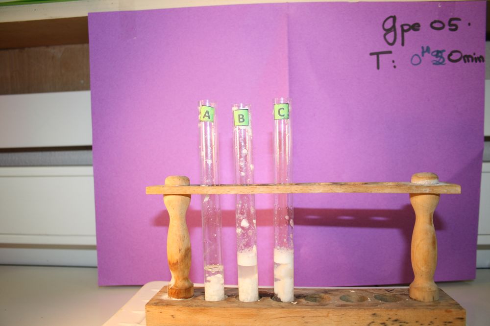 gal/LES_CINQUIEMES/ACTIVITE DIGESTION IN VITRO/Groupe_05/Groupe05_T_00h50min/Groupe05_T_00h_50min_5.JPG